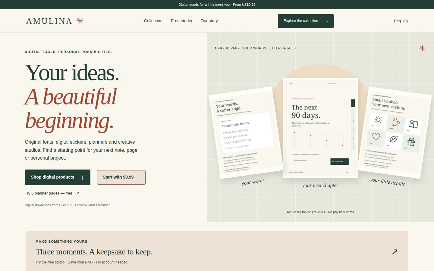 Screenshot of the public AMULINA homepage