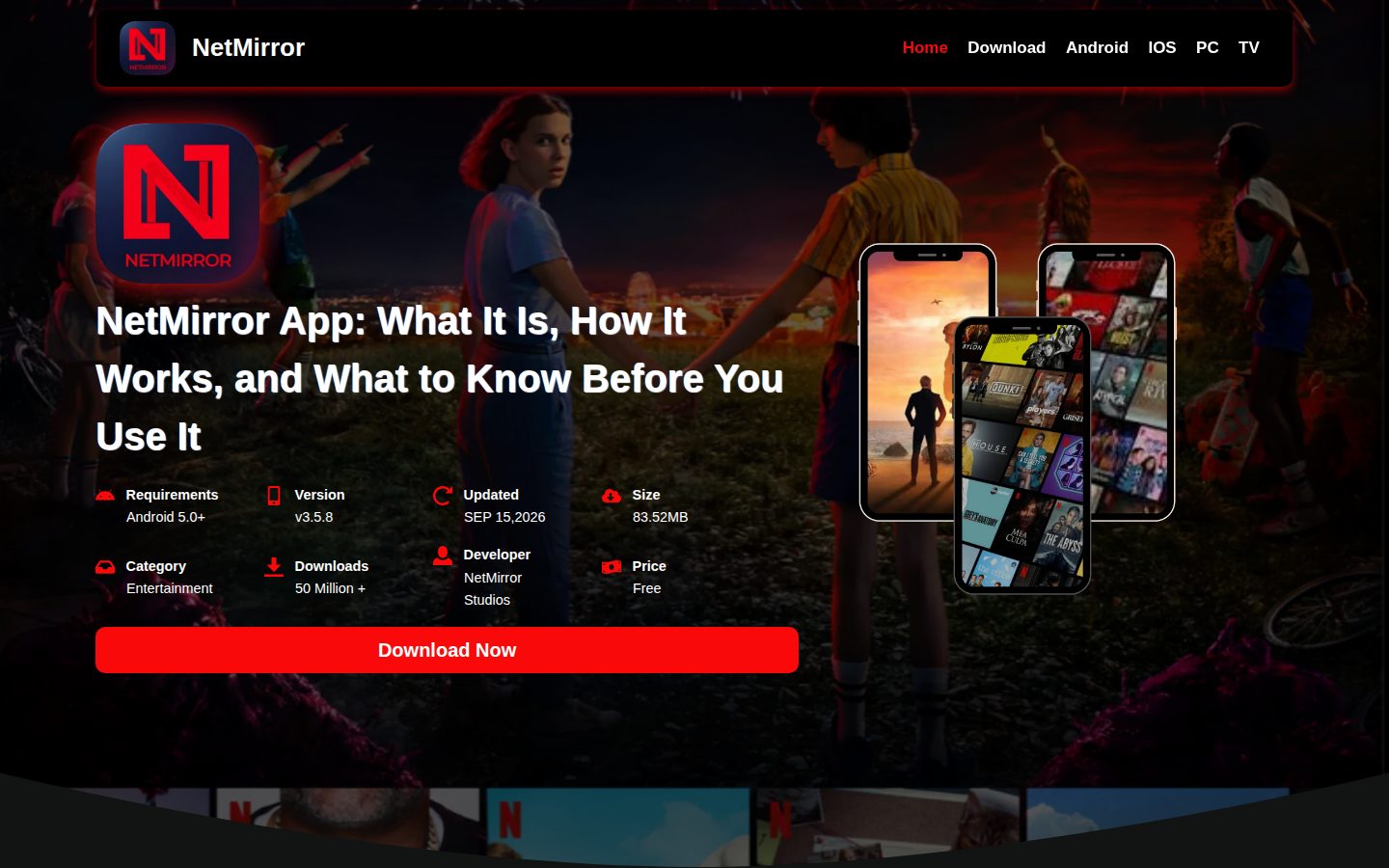 Screenshot of the public NetMirror homepage