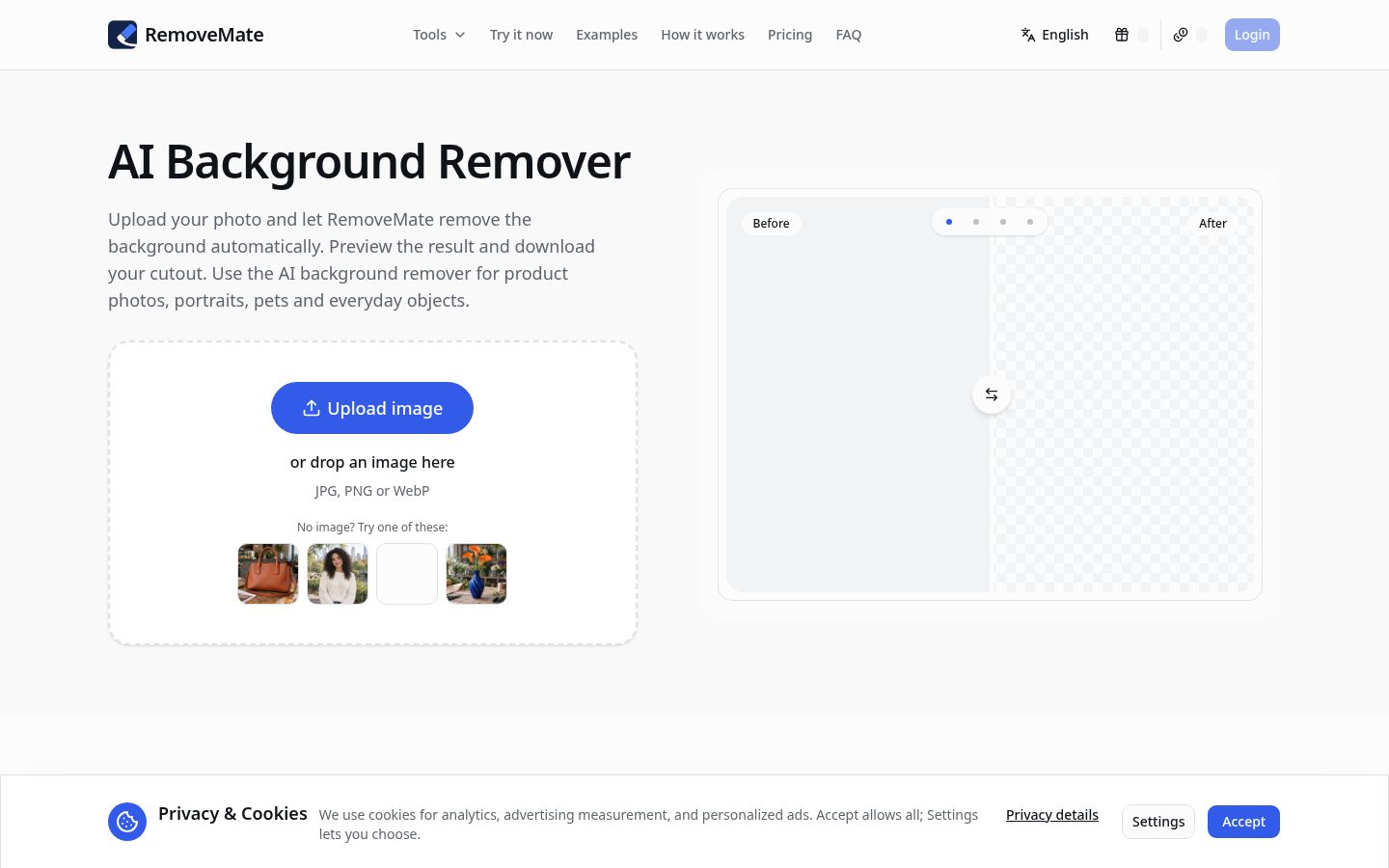 Screenshot of the public RemoveMate homepage