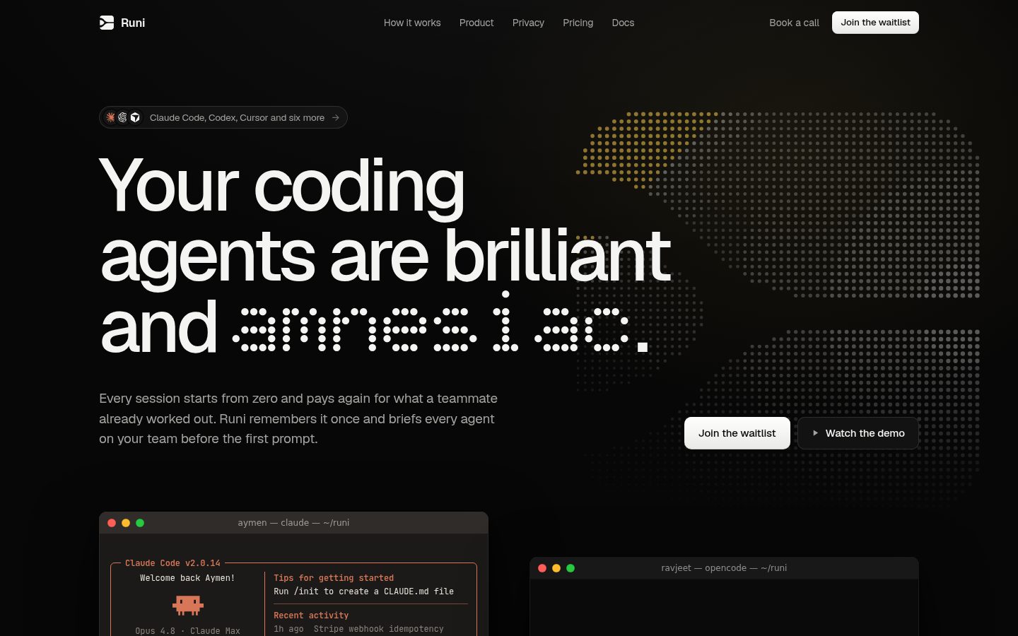 Screenshot of the public Runi homepage