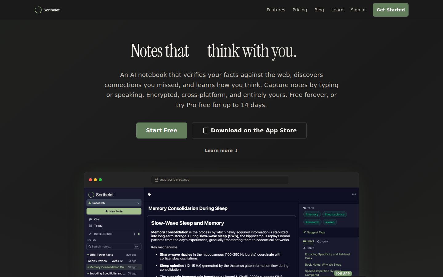 Screenshot of the public Scribelet homepage