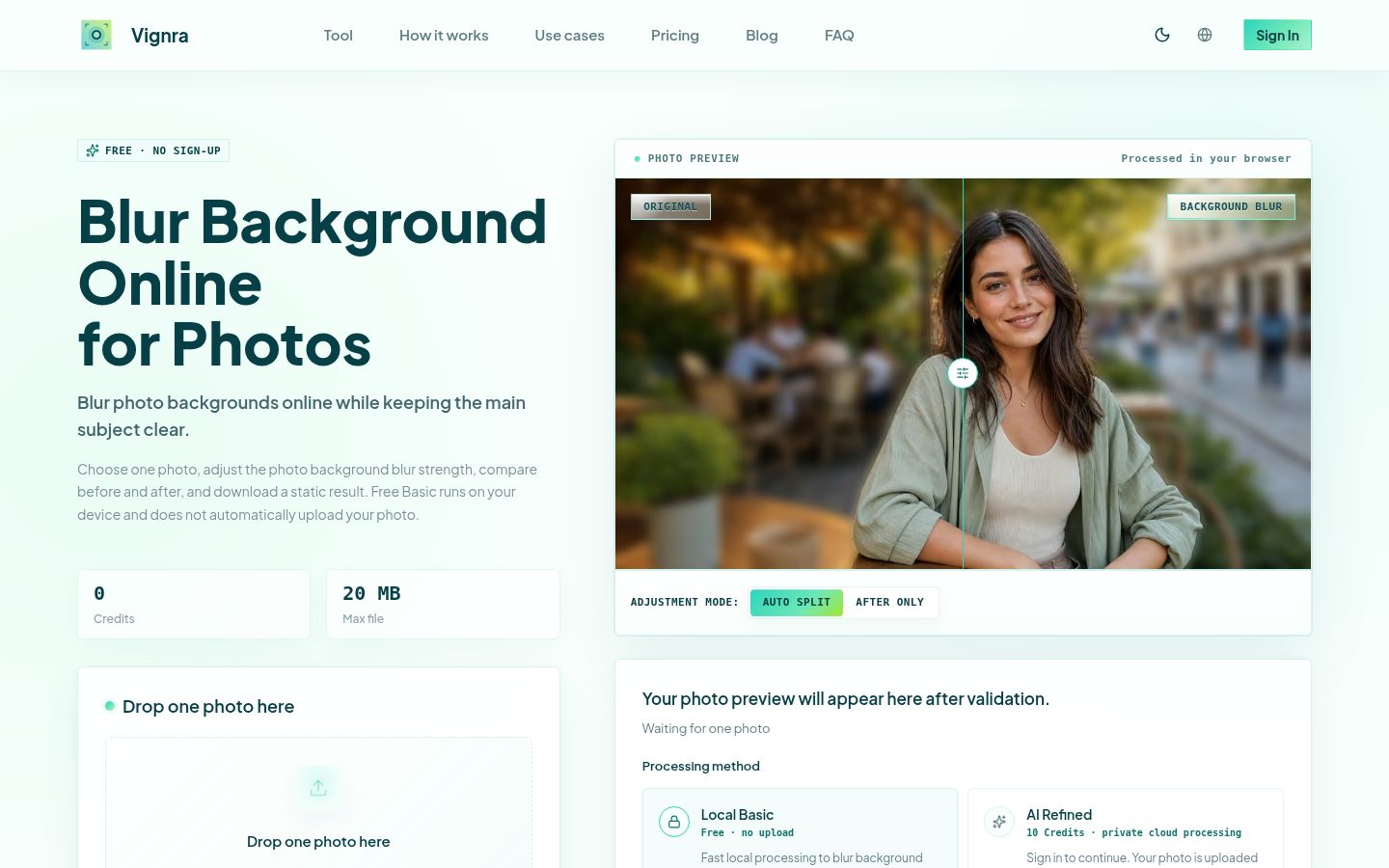 Screenshot of the public Vignra homepage